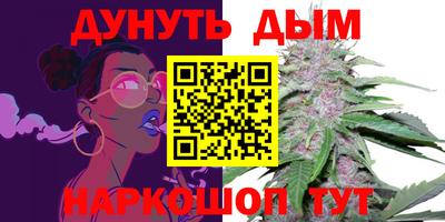 мдпв Гусев