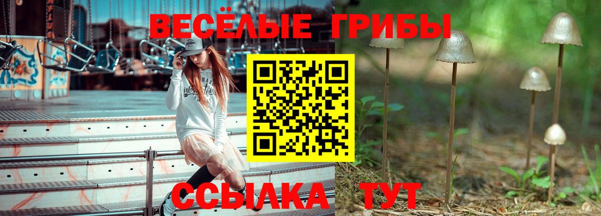 Псилоцибиновые грибы мухоморы Люберцы